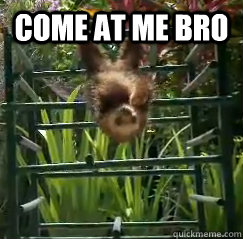 come at me bro   Gangsta Sloth