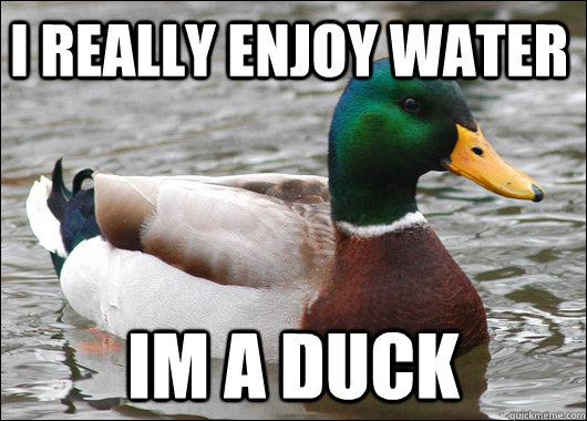 I Really enjoy water Im a Duck  Actual Advice Mallard