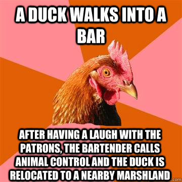 A duck walks into a bar After having a laugh with the patrons, the bartender calls animal control and the duck is relocated to a nearby marshland - A duck walks into a bar After having a laugh with the patrons, the bartender calls animal control and the duck is relocated to a nearby marshland  Anti-Joke Chicken