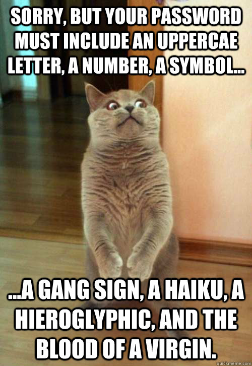 Sorry, but your password must include an uppercae letter, a number, a Symbol... ...a gang sign, a haiku, a hieroglyphic, and the blood of a virgin.  Horrorcat