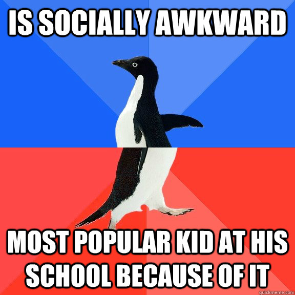 Is socially awkward Most popular kid at his school because of it  Socially Awkward Awesome Penguin