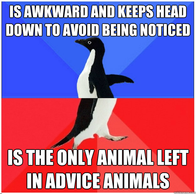 Is Awkward and keeps head down to avoid being noticed Is the only animal left in advice animals  