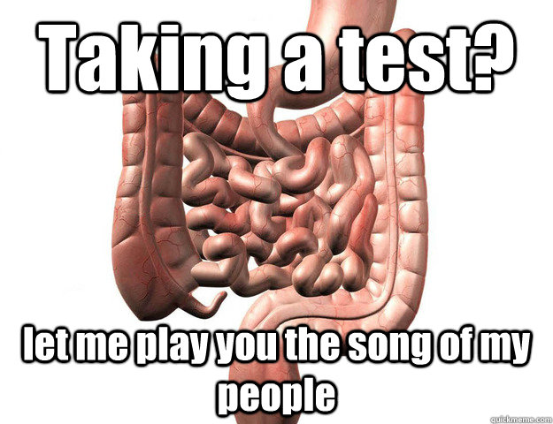 Taking a test? let me play you the song of my people - Taking a test? let me play you the song of my people  Scumbag Intestine