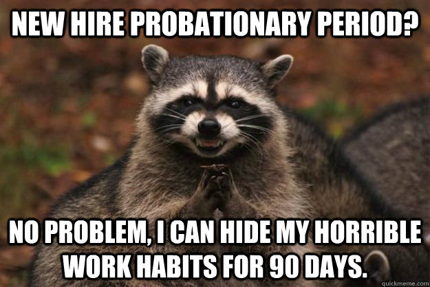 New hire probationary period? No problem, I can hide my horrible work habits for 90 days.  Evil Plotting Raccoon