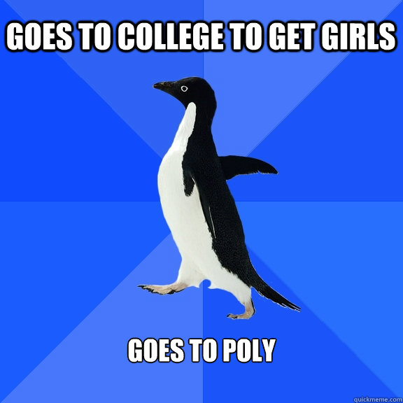 goes to college to get girls goes to poly  Socially Awkward Penguin