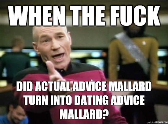 When the fuck did actual advice mallard turn into dating advice mallard?  Annoyed Picard HD
