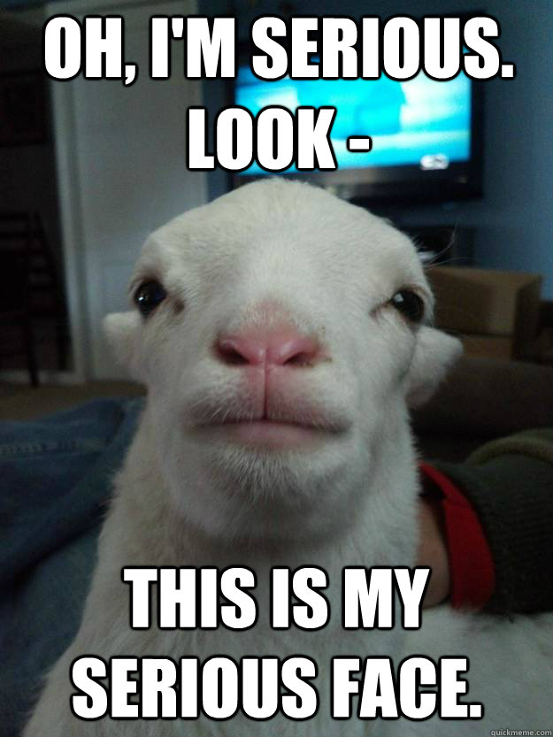 Oh, I'm serious.  Look - This is my serious face. - Oh, I'm serious.  Look - This is my serious face.  Misc