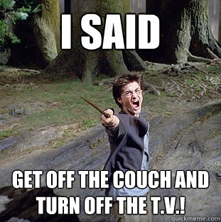 i said Get off the couch and  turn off the t.v.!  Pissed off Harry
