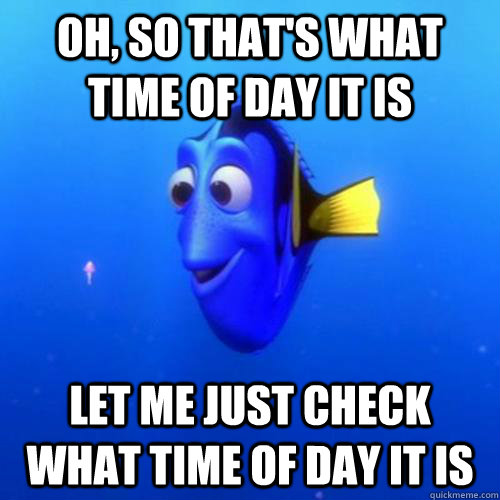 Oh, so that's what time of day it is Let me just check what time of day it is  dory