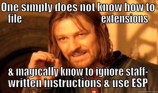 ONE SIMPLY DOES NOT KNOW HOW TO FILE                                           EXTENSIONS & MAGICALLY KNOW TO IGNORE STAFF- WRITTEN INSTRUCTIONS & USE ESP Boromir