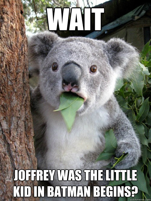 Wait Joffrey was the little kid in batman begins?  Shocked Koala