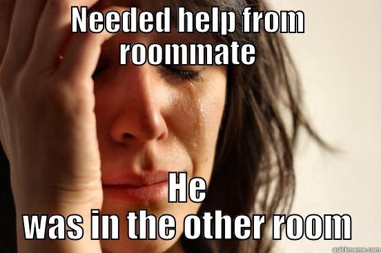 NEEDED HELP FROM ROOMMATE HE WAS IN THE OTHER ROOM First World Problems