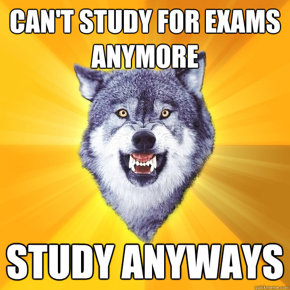Can't study for exams anymore Study anyways  Courage Wolf