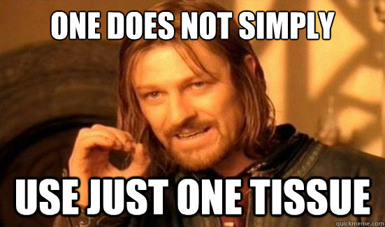 One Does Not Simply use just one tissue  Boromir