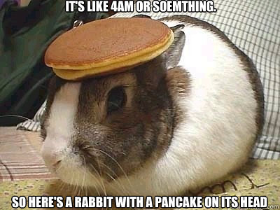 It's like 4am or soemthing. So here's a rabbit with a pancake on its head  Pancake Rabbit