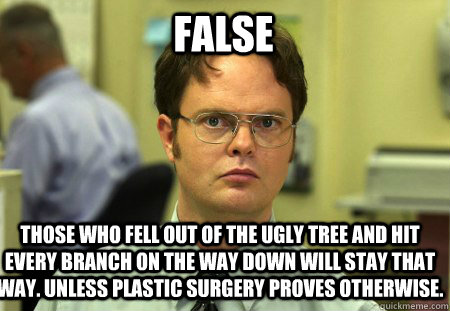 FALSE those who fell out of the ugly tree and hit every branch on the way down will stay that way. Unless plastic surgery proves otherwise. - FALSE those who fell out of the ugly tree and hit every branch on the way down will stay that way. Unless plastic surgery proves otherwise.  Schrute