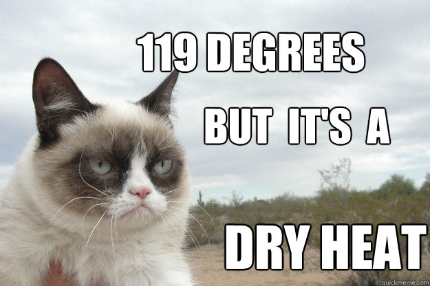 119 degrees but  it's  a dry heat - 119 degrees but  it's  a dry heat  grumpy cat ponders life