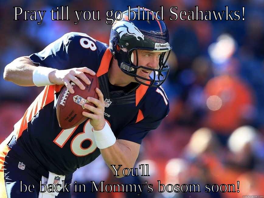 PRAY TILL YOU GO BLIND SEAHAWKS! YOU'LL BE BACK IN MOMMY'S BOSOM SOON! Misc