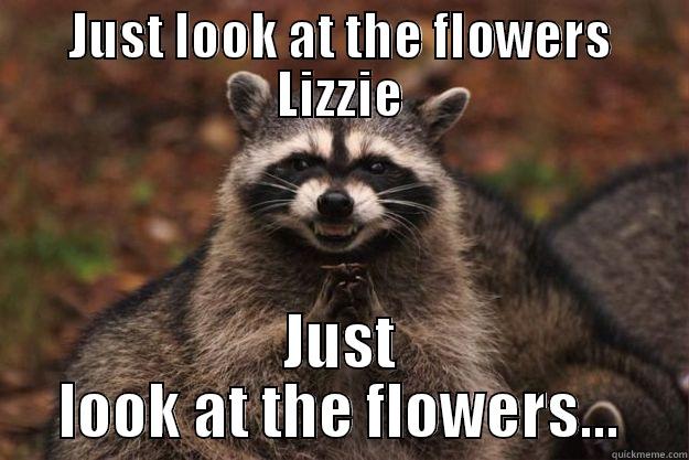 JUST LOOK AT THE FLOWERS LIZZIE JUST LOOK AT THE FLOWERS... Evil Plotting Raccoon