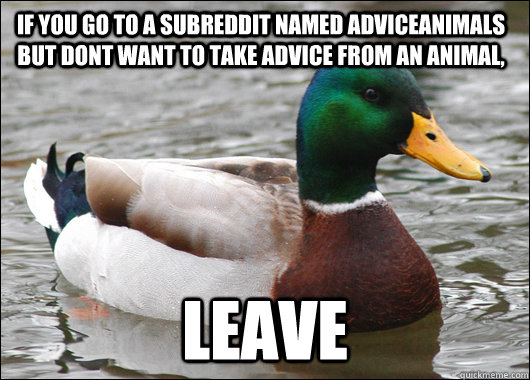 If you go to a subreddit named adviceanimals but dont want to take advice from an animal, Leave  Actual Advice Mallard