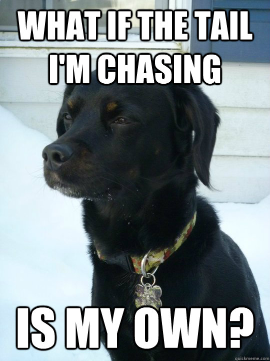 What if the tail I'm chasing is my own? - What if the tail I'm chasing is my own?  Philosophical Puppy