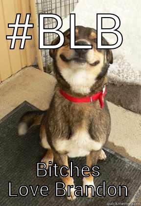 #BLB BITCHES LOVE BRANDON Good Dog Greg