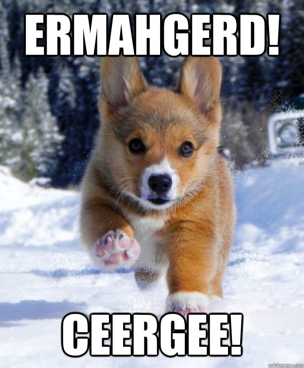 ERMAHGERD! CEERGEE! - ERMAHGERD! CEERGEE!  victory corgi