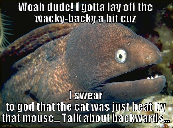 WOAH DUDE! I GOTTA LAY OFF THE WACKY-BACKY A BIT CUZ I SWEAR TO GOD THAT THE CAT WAS JUST BEAT BY THAT MOUSE... TALK ABOUT BACKWARDS... Bad Joke Eel
