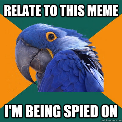 Relate to this meme I'm being spied on  Paranoid Parrot