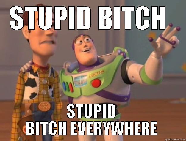 STUPID BITCH  STUPID BITCH EVERYWHERE Toy Story