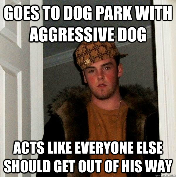 goes to dog park with aggressive dog acts like everyone else should get out of his way  Scumbag Steve