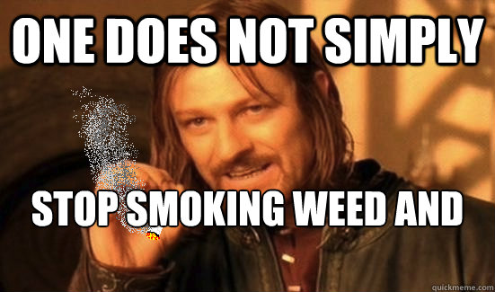 One does not simply Stop smoking weed and hating Tories  