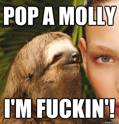 Pop A Molly I'm Fuckin'!  rape sloth