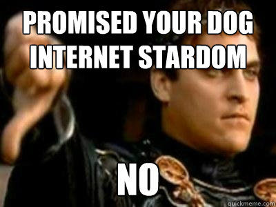 promised your dog internet stardom no  Downvoting Roman