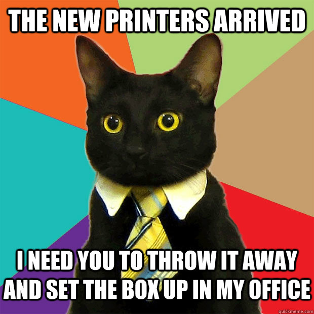 The new printers arrived  I need you to throw it away and set the box up in my office - The new printers arrived  I need you to throw it away and set the box up in my office  Business Cat