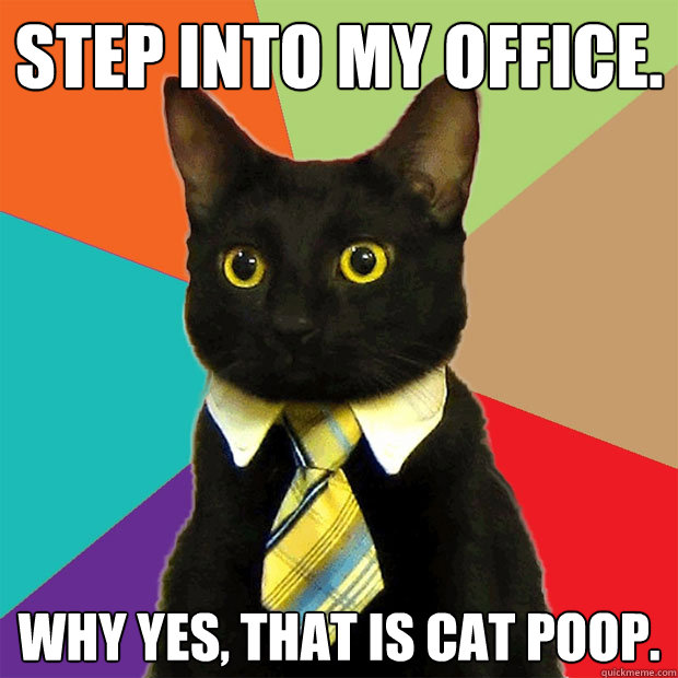 Step into my office. why yes, that is cat poop. - Step into my office. why yes, that is cat poop.  Business Cat