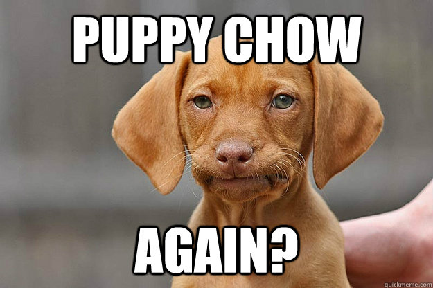 Puppy Chow Again?  