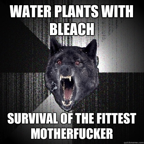 Water plants with bleach Survival of the fittest motherfucker  Insanity Wolf