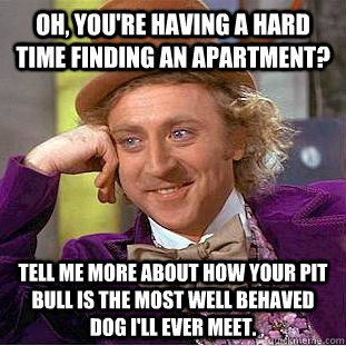 Oh, you're having a hard time finding an apartment? Tell me more about how your pit bull is the most well behaved dog I'll ever meet. - Oh, you're having a hard time finding an apartment? Tell me more about how your pit bull is the most well behaved dog I'll ever meet.  Condescending Wonka