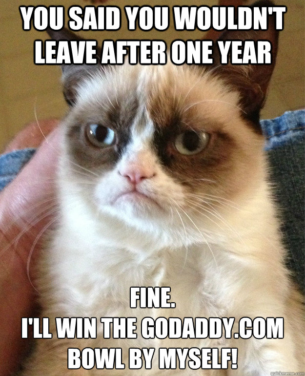 You said you wouldn't leave after one year Fine. 
I'll win the GoDaddy.com bowl by myself!  Grumpy Cat