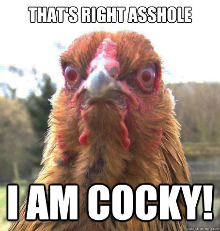 That's right asshole I am cocky!  RageChicken