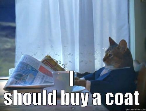  I SHOULD BUY A COAT The One Percent Cat