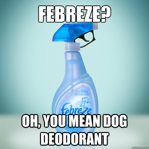 Febreze? oh, you mean dog deodorant - Febreze? oh, you mean dog deodorant  Misc