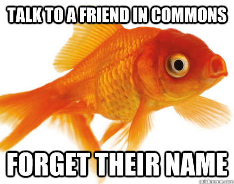 Talk to a friend in commons Forget their name  