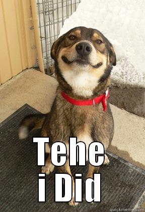  TEHE I DID Good Dog Greg