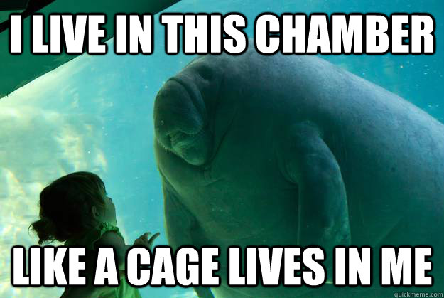 i live in this chamber like a cage lives in me - i live in this chamber like a cage lives in me  Overlord Manatee