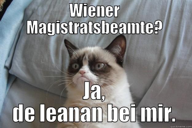 WIENER MAGISTRATSBEAMTE? JA, DE LEANAN BEI MIR. Grumpy Cat