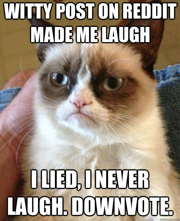 witty post on reddit made me laugh i lied, i never laugh. downvote. - witty post on reddit made me laugh i lied, i never laugh. downvote.  Grumpy Cat
