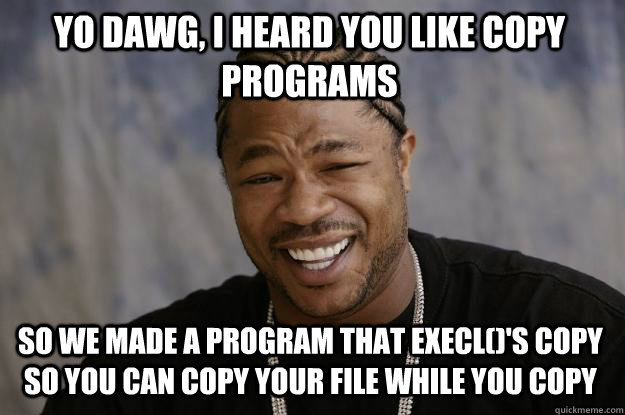 Yo dawg, I heard you like copy programs So we made a program that execl()'s copy so you can copy your file while you copy  Xzibit meme