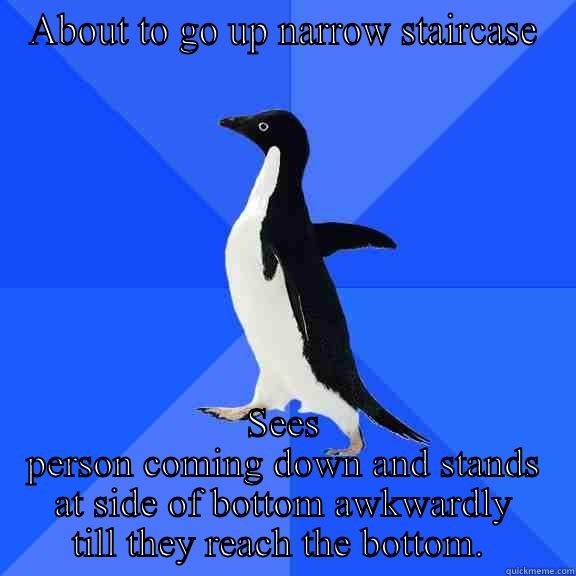 ABOUT TO GO UP NARROW STAIRCASE SEES PERSON COMING DOWN AND STANDS AT SIDE OF BOTTOM AWKWARDLY TILL THEY REACH THE BOTTOM.  Socially Awkward Penguin